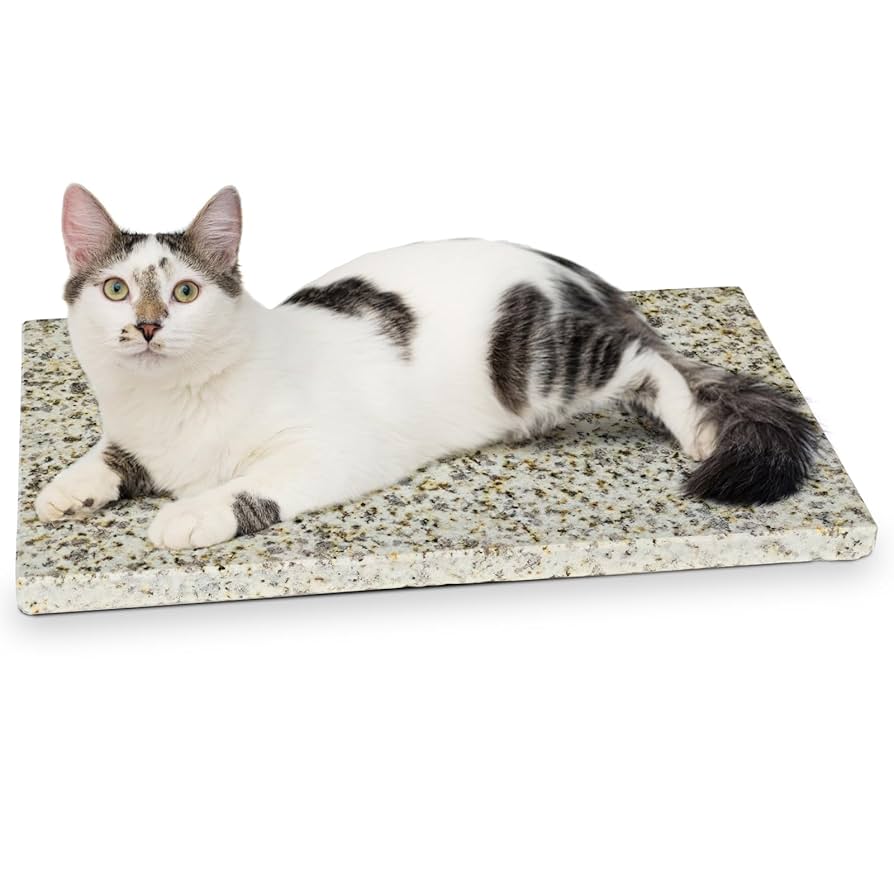石膏の猫　最終価格です キャットステップ キャットウォーク 22×40cm 1セット 透明